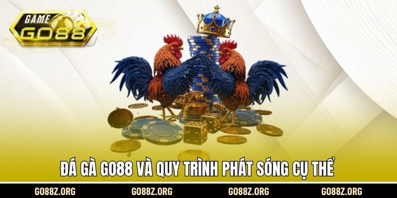 Đá gà Go88 và quy trình phát sóng cụ thể 