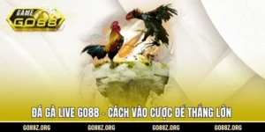 Đá gà live Go88