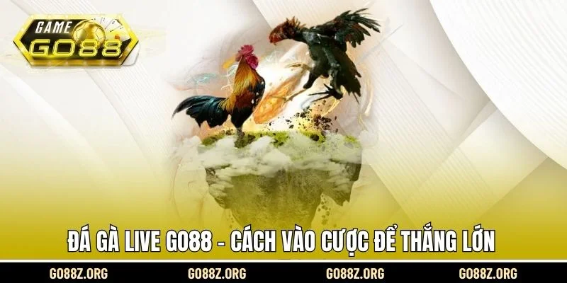 Đá gà live Go88