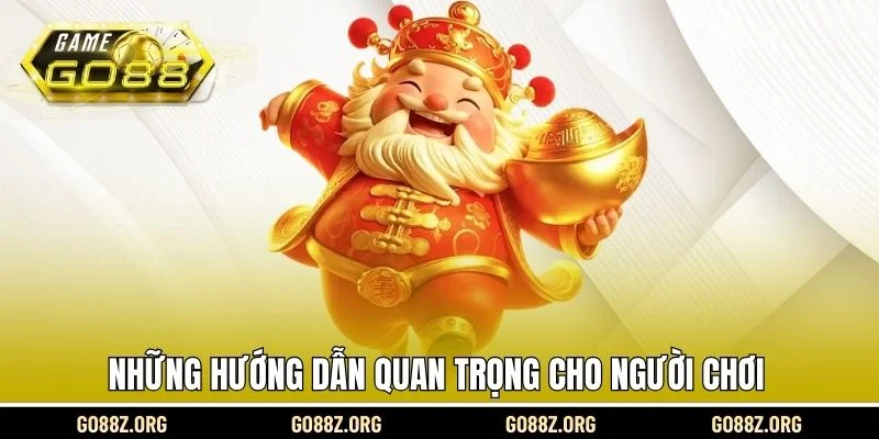 Những hướng dẫn quan trọng cho người chơi