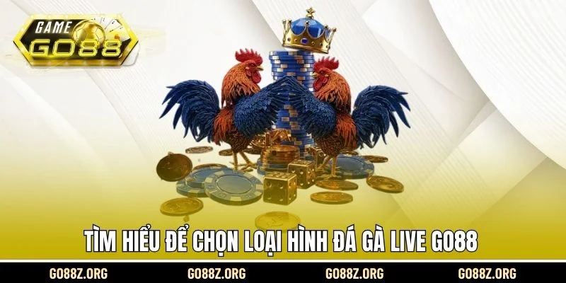 Tìm hiểu để chọn loại hình đá gà live Go88